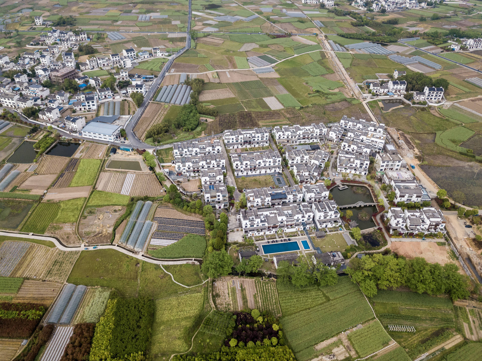 黑龙江以高质量党建引领乡村振兴